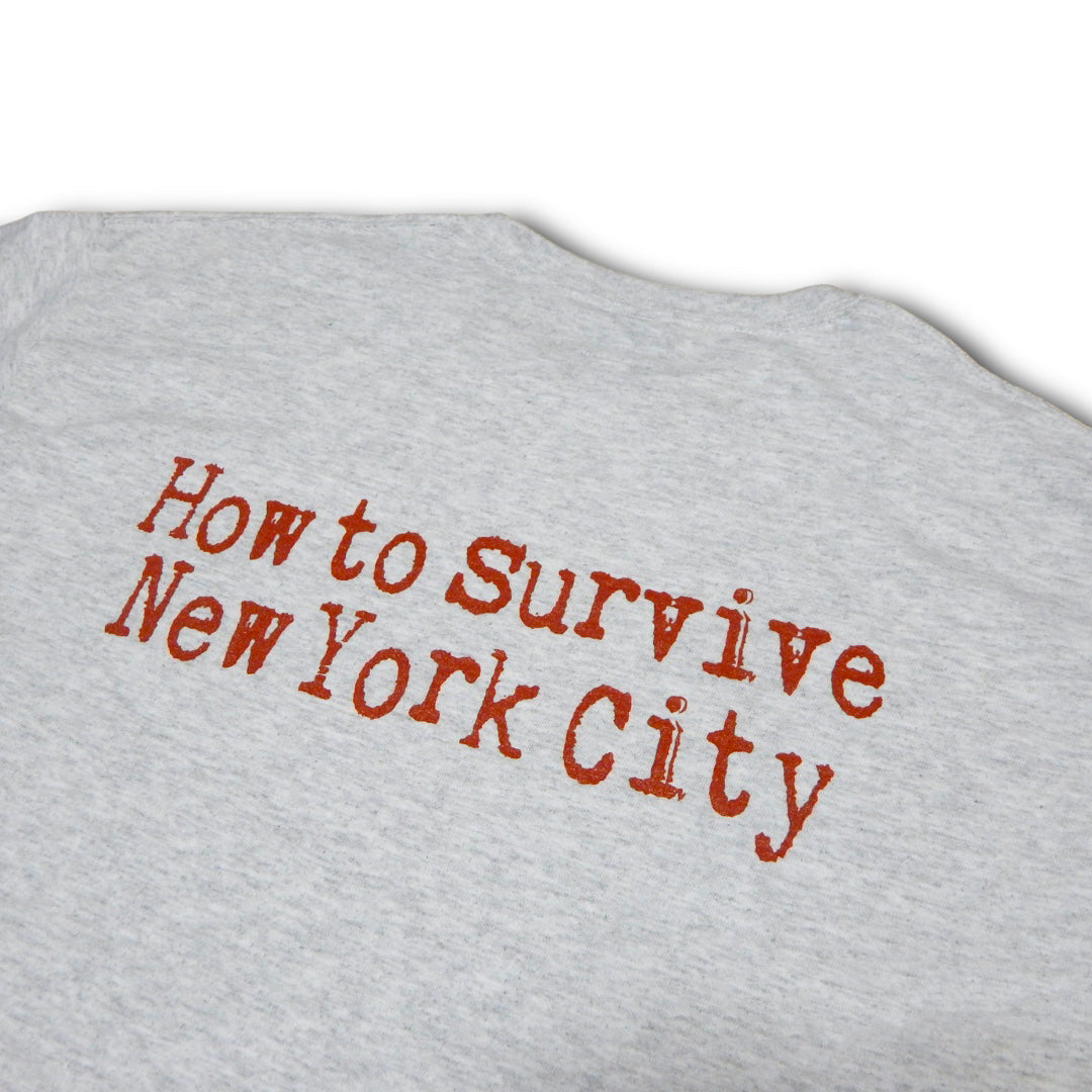 HOW TO SURVIVE NYC