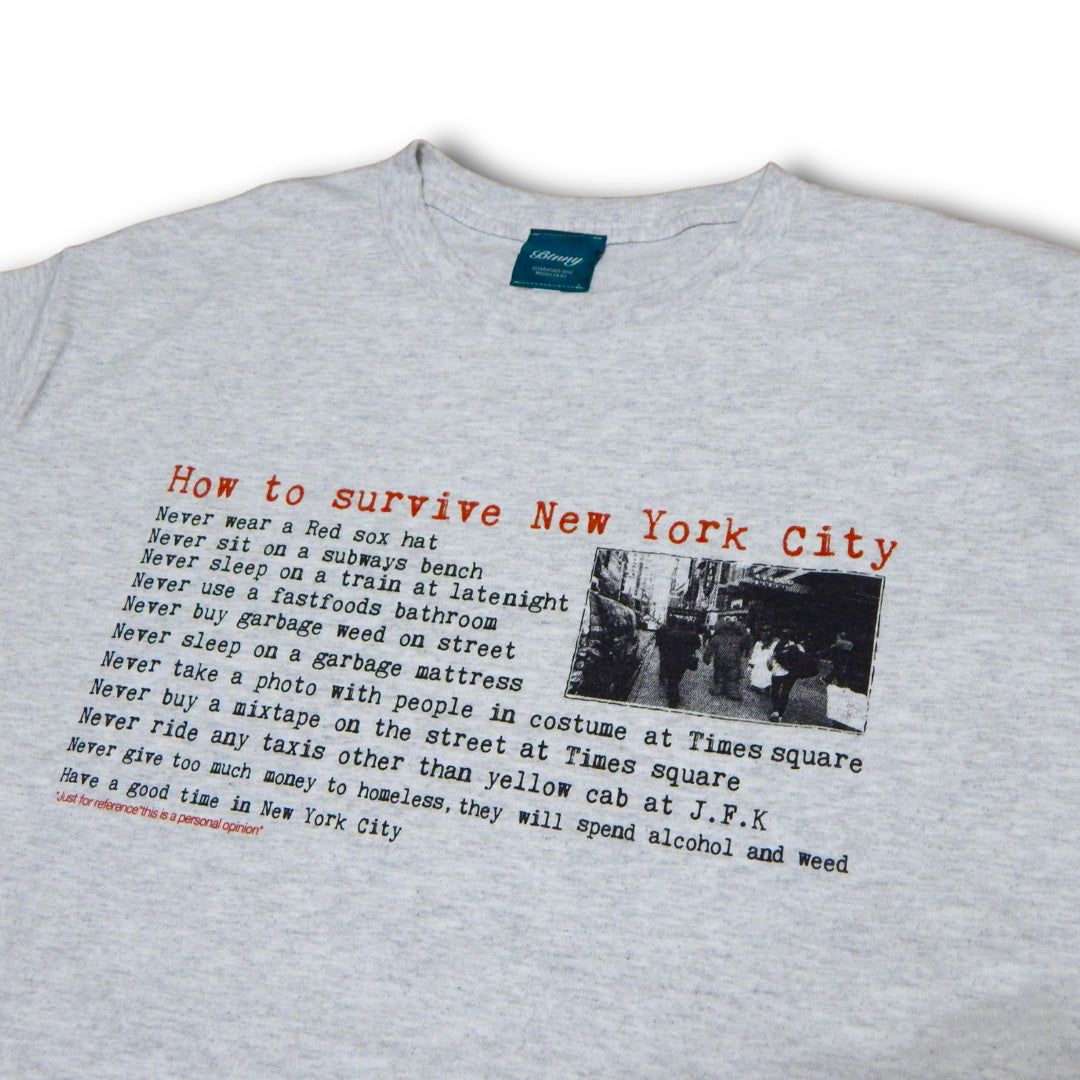 HOW TO SURVIVE NYC